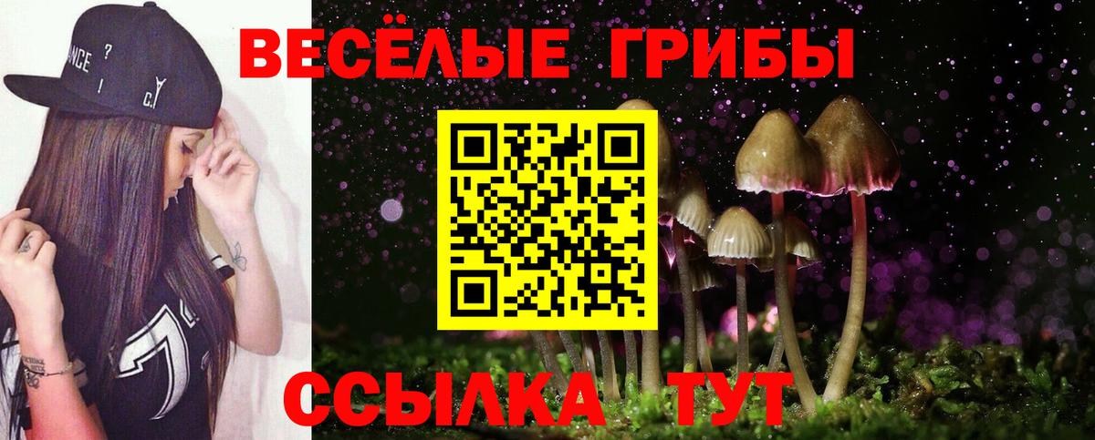 Галлюциногенные грибы мухоморы  Вход с VPN  Сланцы  Галлюциногенные грибы мухоморы 